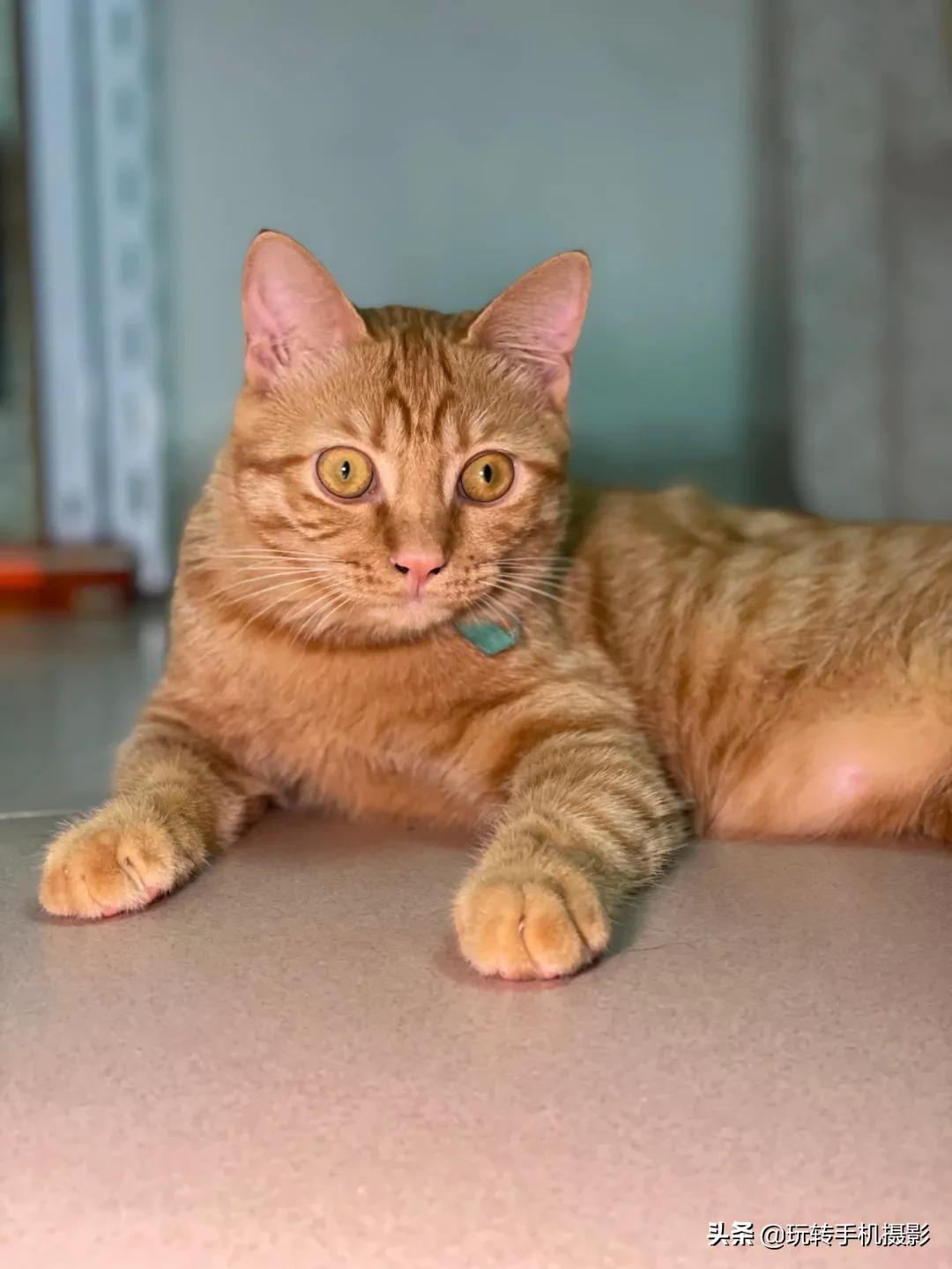 为什么都喜欢用iphone拍照,为什么大家都喜欢用iphone拍照