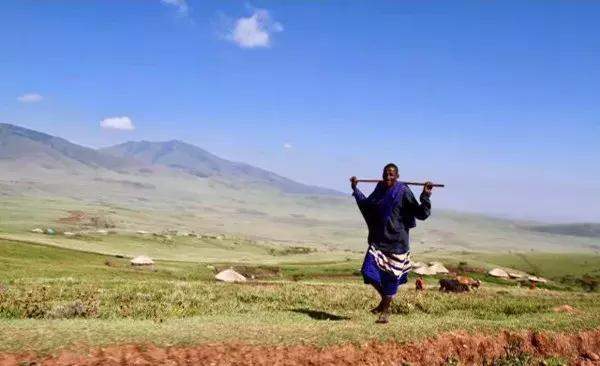 海哥带你游世界｜这周我们去非洲大草原看大西几！