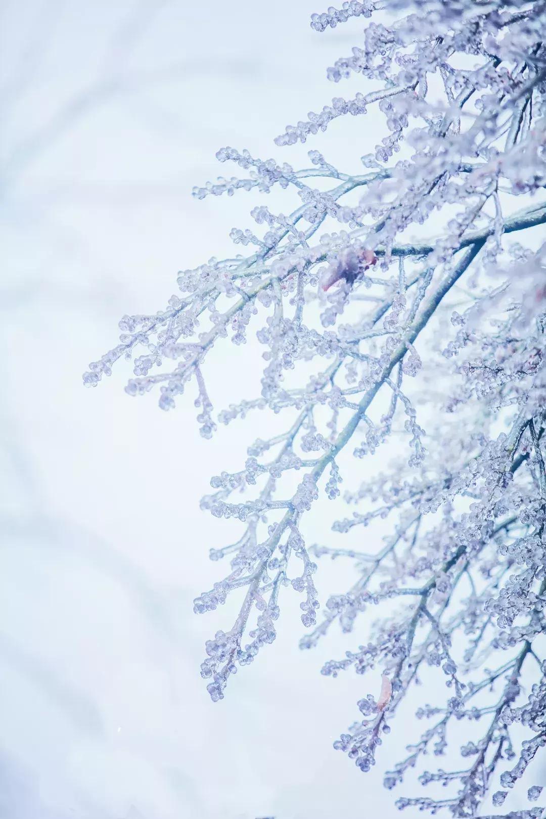 贵阳云雾山云海,贵阳云雾山雾凇旅游攻略