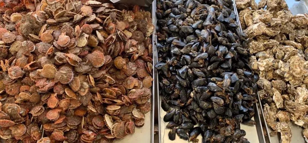 海螃蟹大量上市,威海海螃蟹价格