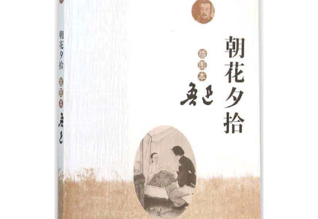 朝花夕拾鲁迅仇猫是什么意思,朝花夕拾鲁迅仇猫是根据什么来的