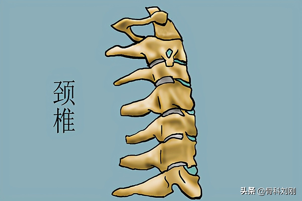 脖子酸痛僵硬怎么缓解用什么膏药,脖子颈椎疼痛最快怎么缓解视频