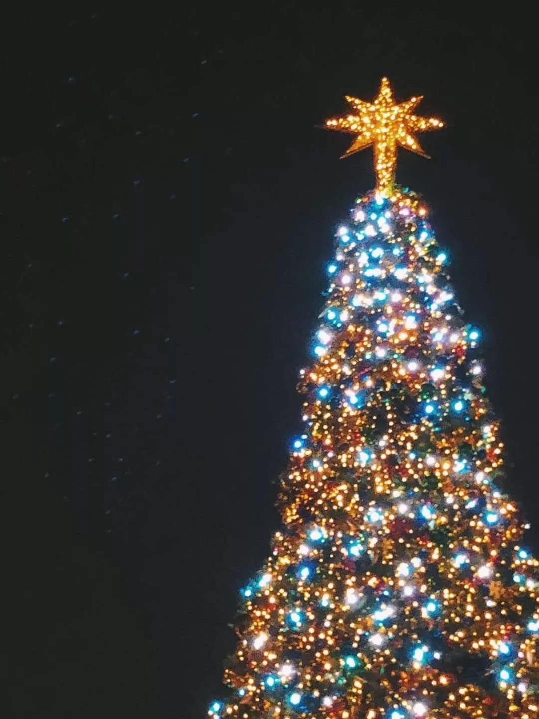 假期撒手没的戏精同事们,竟然在我挤春运的时候吹海风??(下)