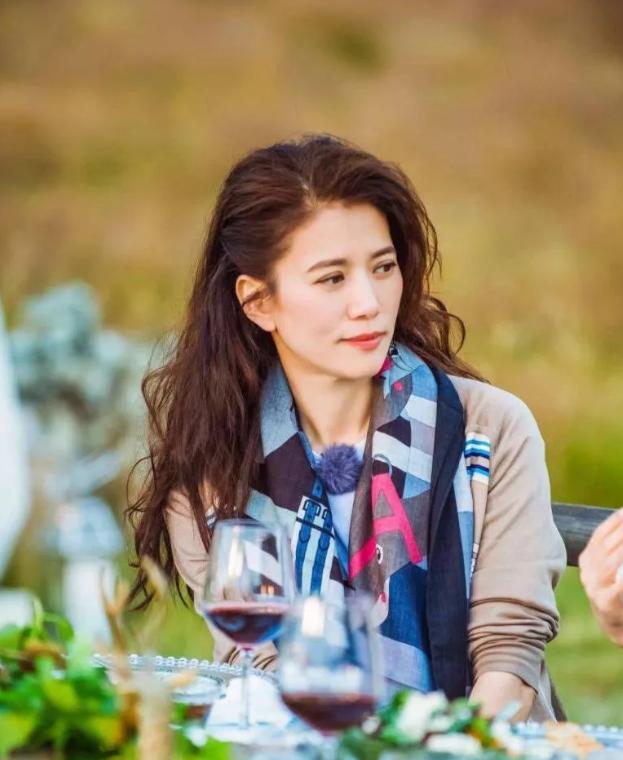 袁咏仪推荐的洗发水价格,袁咏仪代言草本防脱洗发水