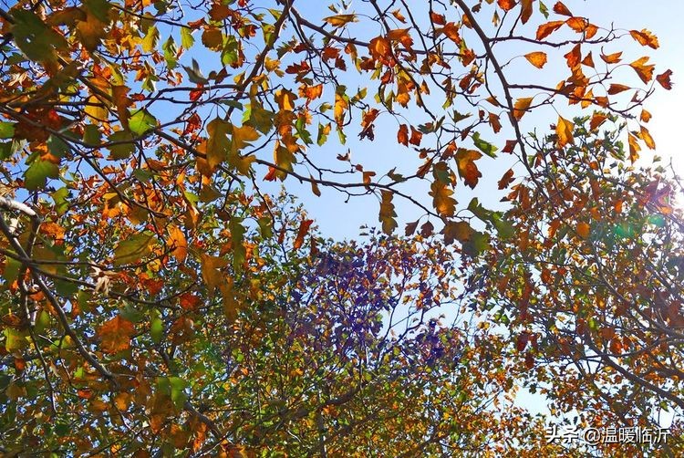 竹泉村景区,最美竹泉村