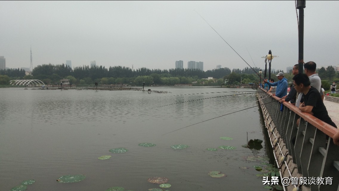 周末带娃出来抓抓虾,周六爸爸陪宝贝抓螃蟹