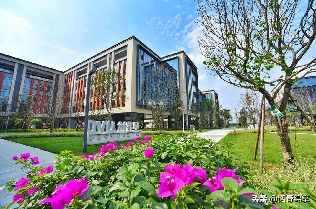 ​小直带你“逛双流”看看不一样的“天府第一窗口”