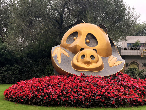 吃货夫妻结婚2周年，去成都逛吃逛吃，3天花了5600元~