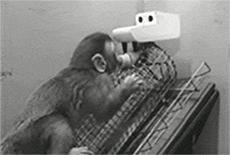 每天想起原生家庭就很抑郁怎么办,原生家庭导致的抑郁焦虑能治好吗