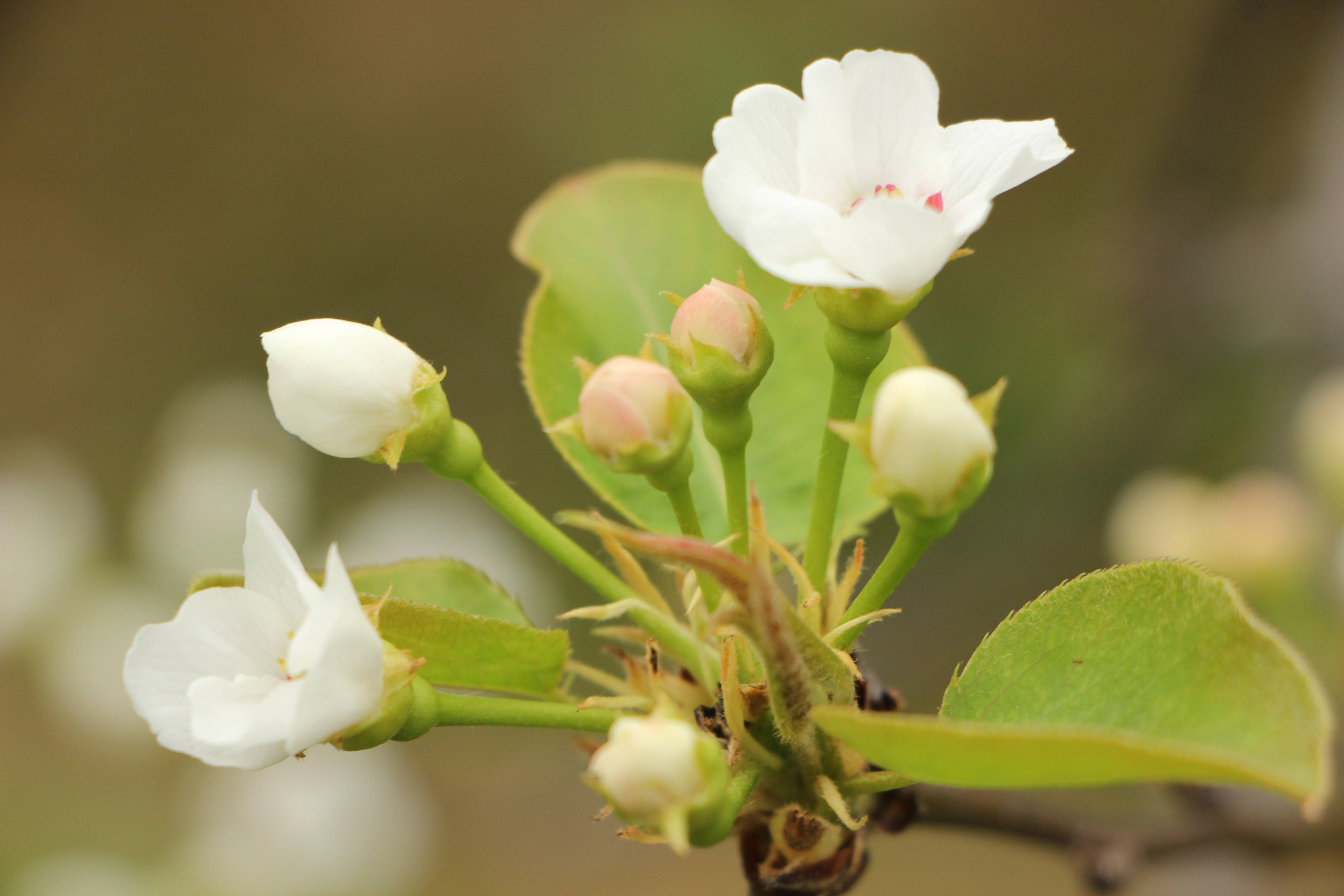 为什么老实人福气大,老实人遇见老实人会怎样