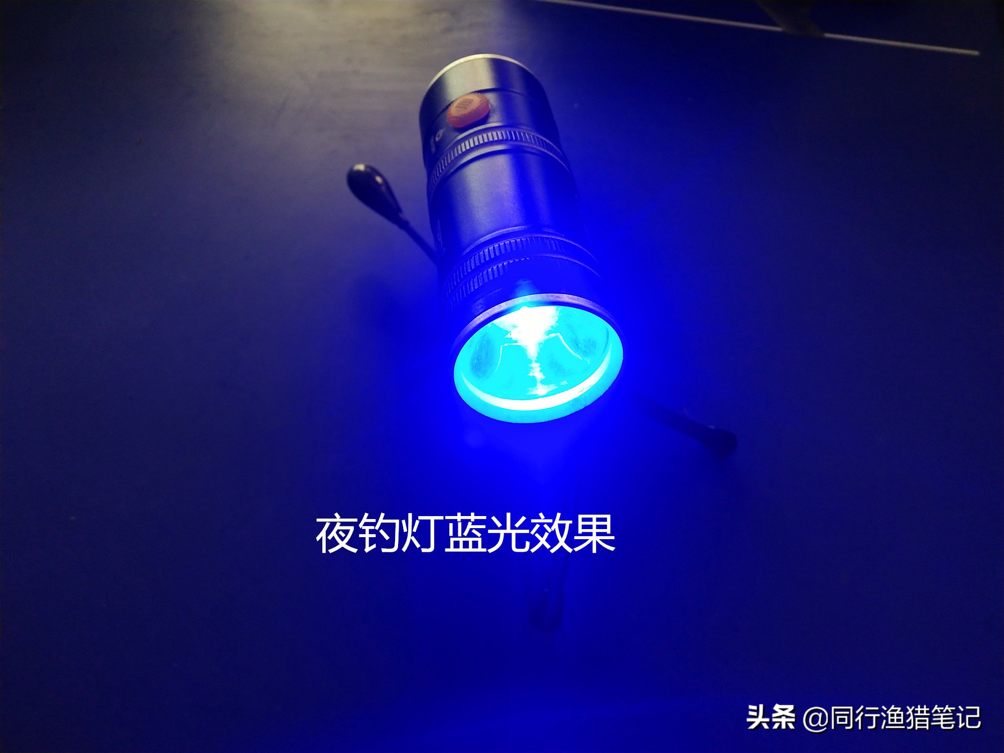 夜光漂跟夜钓灯的优劣,夜钓荧光棒实战