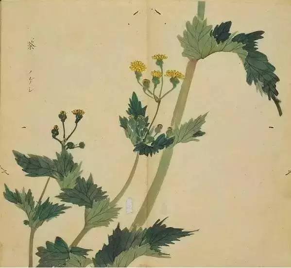 五千年来最美的20首诗,100首美到窒息的诗句