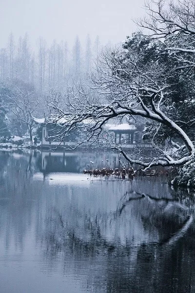 急需二十篇初中课外文言文译文 (初中文言文及译文)