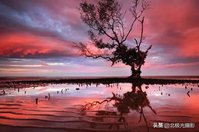 摄影一定要后期处理吗,摄影后期有哪些步骤