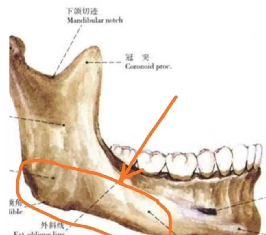 刘亦菲发腮什么意思,发腮的原因找到了
