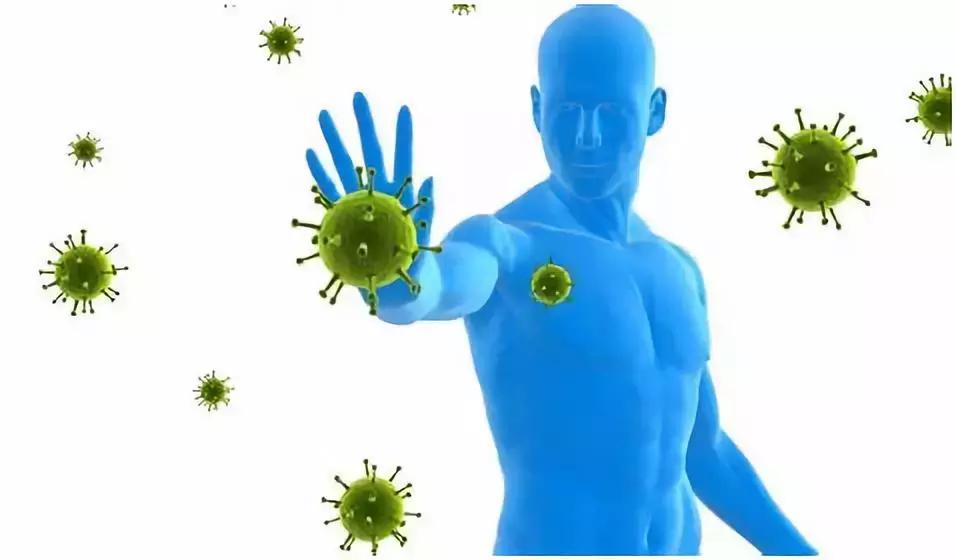 益生菌与真菌,益生菌与幽门螺杆菌