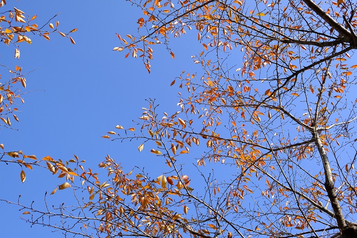 韩国庆州特色旅游景点,韩国庆州旅游攻略