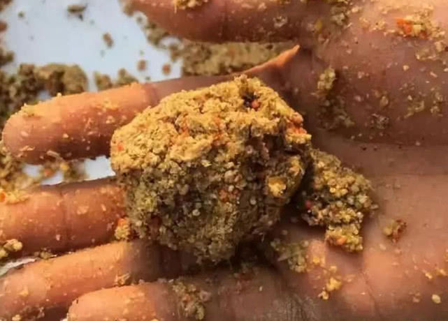 滑鱼为什么不开口,同样的饵料钓滑鱼为什么不开口