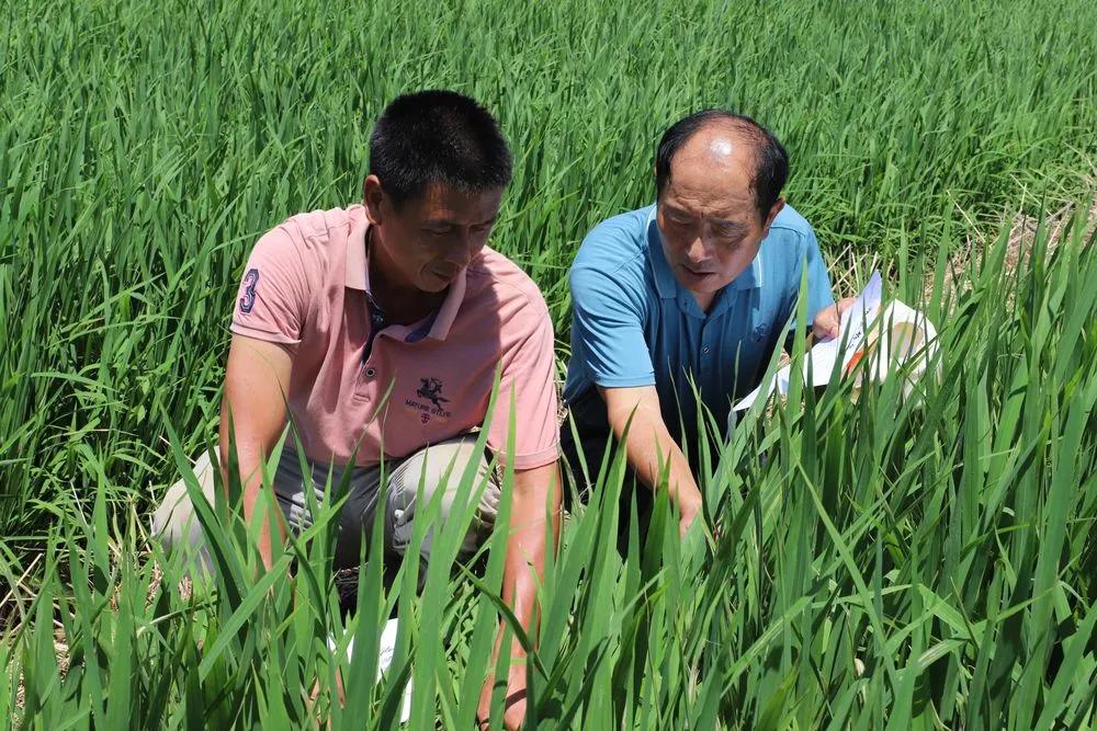 宣州区防汛抗旱,宣州区防汛工作会议