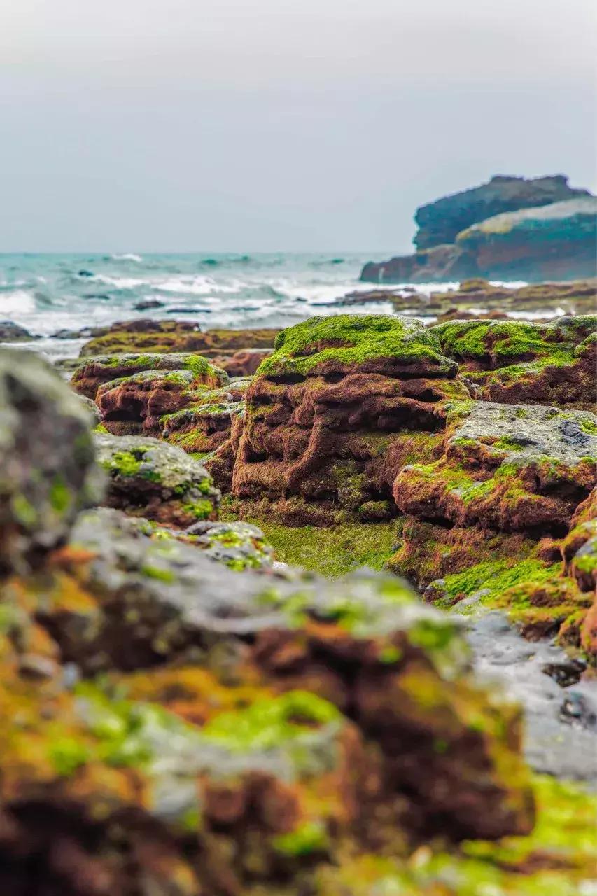 这才是一二月最值得去的13个旅行地，千万别去错了