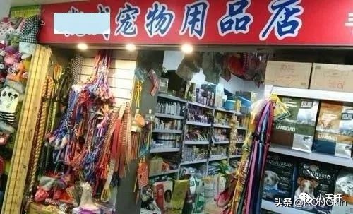 三个最有潜力的创业方向,轻资产创业项目热门