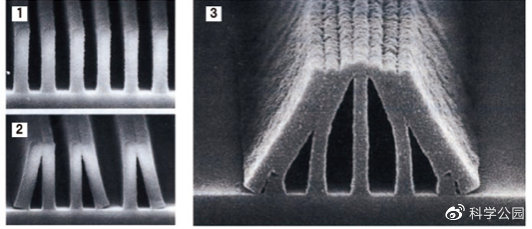 头发粘在一起是怎么回事,为什么头发会粘在一起