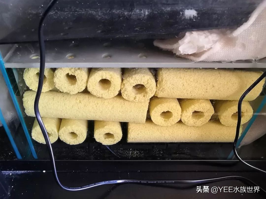 鱼缸放几种滤材最合适,鱼缸滤材有必要放那么多种吗