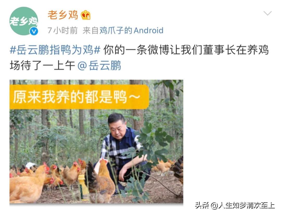 岳云鹏代言老乡鸡了吗 (岳云鹏吃老乡鸡排队)