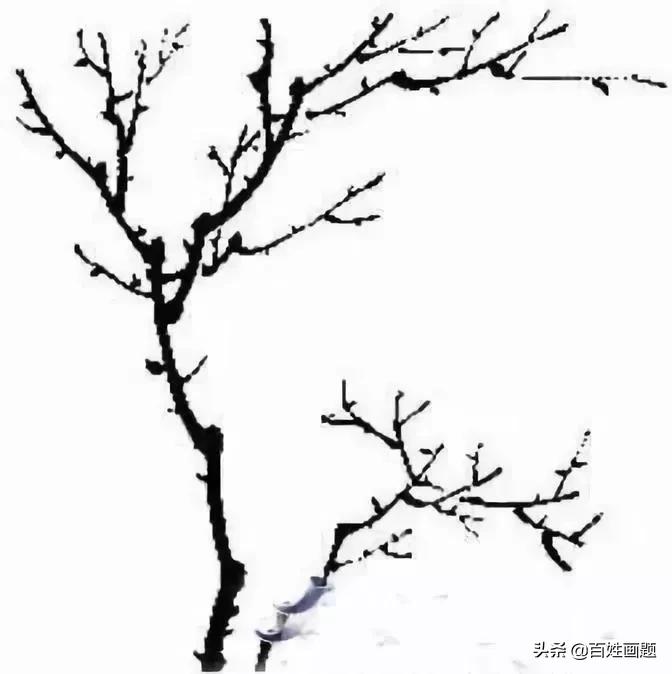 国画梅花画法视频,徐湛梅花画法教程