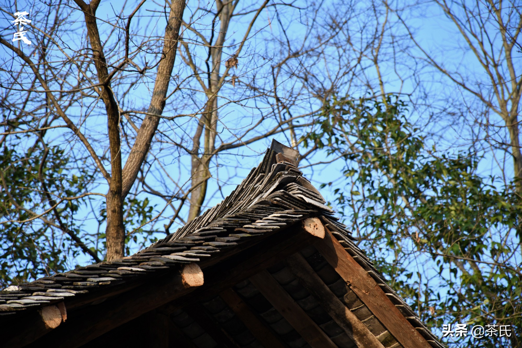 山居生活借山而居,徐州观心山居