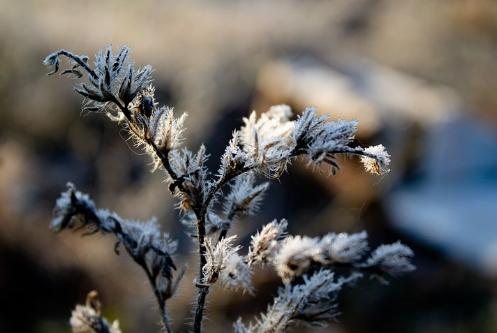 自然之美楷书,自然之美野性之美