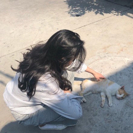 韩系女头小清新森系女头,韩系高冷女头霸气