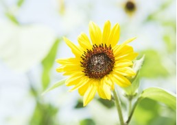 贵州省教师招聘2018,贵州教师招聘视频资料