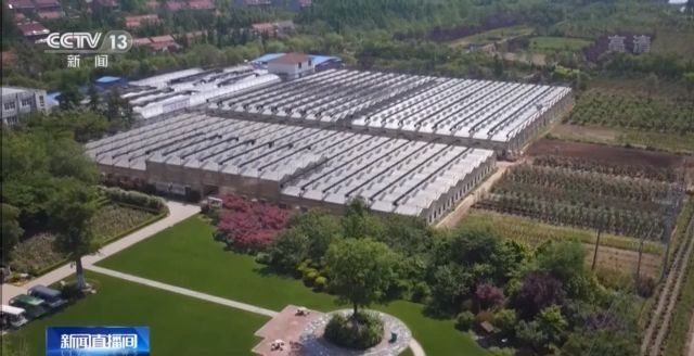 苏北第一县级市沭阳,苏北第一大县沭阳