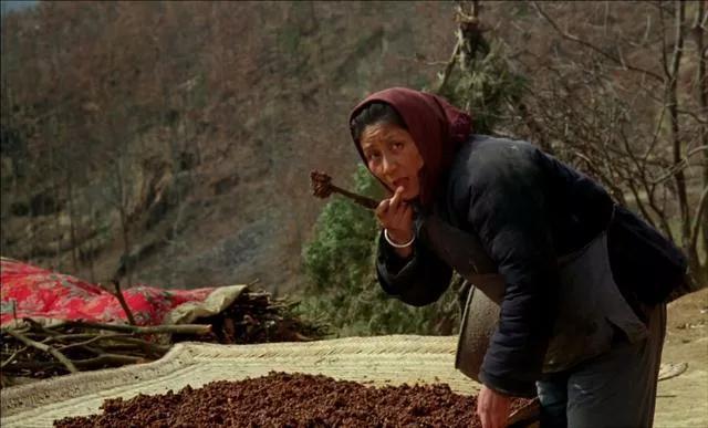 鸡窝洼人家贾平凹全文下载,贾平凹小说鸡窝洼人家讲的什么