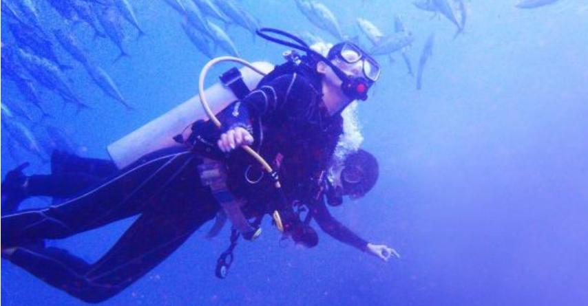 马尼拉最美景点,马尼拉薄荷岛旅游景点推荐