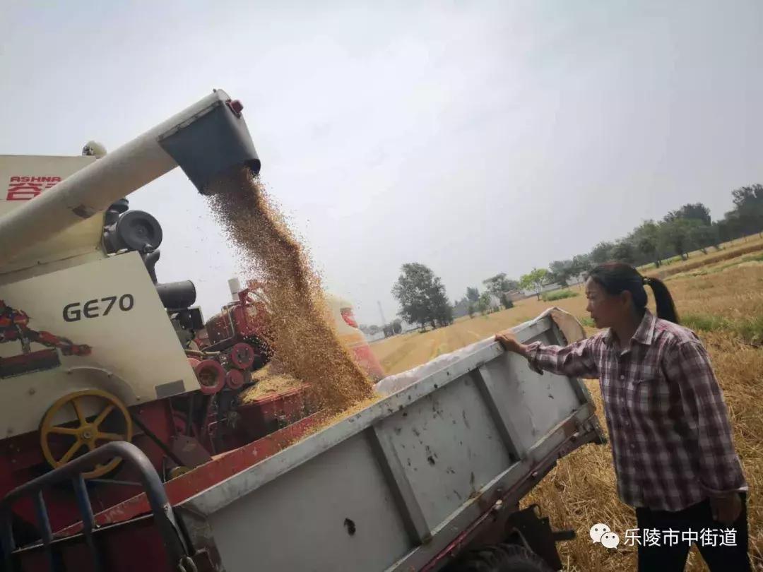 重点工作周报,街道工作周报