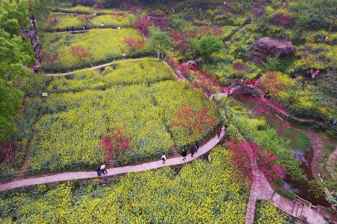 80岁的川美，你啷个楞个好看