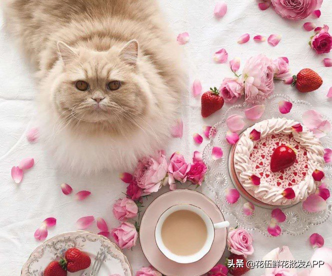 花艺师找工作如何分辨花店好不好,花艺师培训班零基础免费学开花店