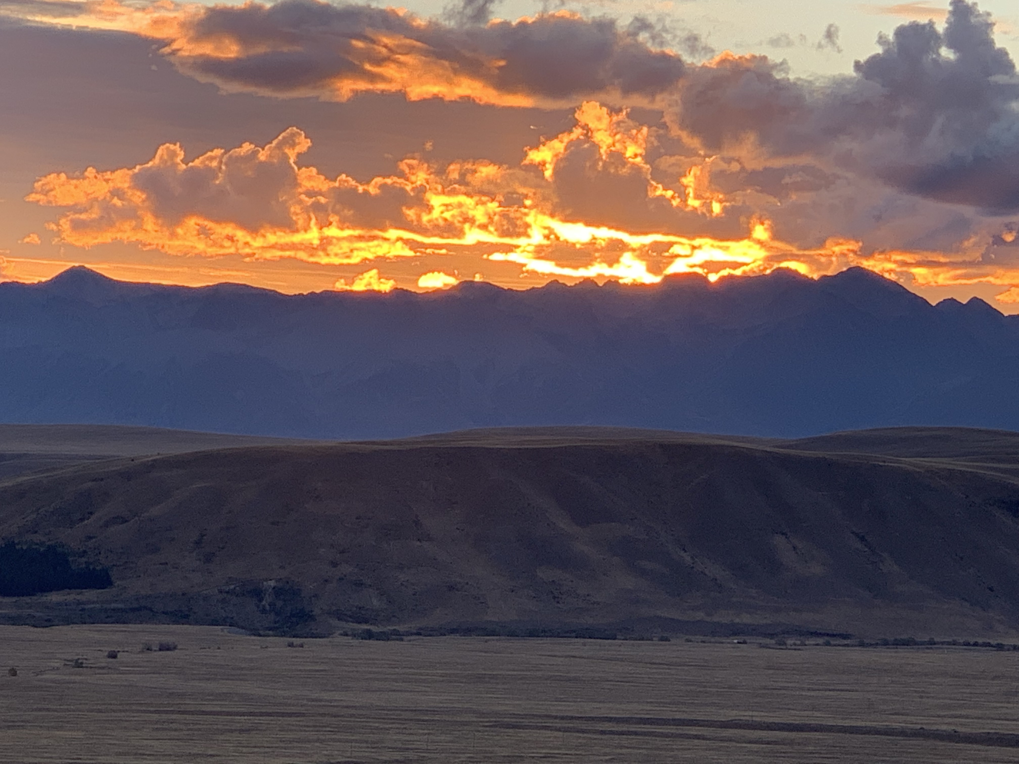 生活在新西兰有多幸福,生活在童话里的国家