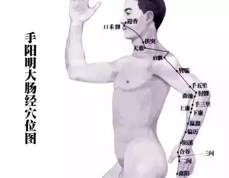 下身肥胖是肝胆经的问题吗,肥胖和肝胆有关系吗