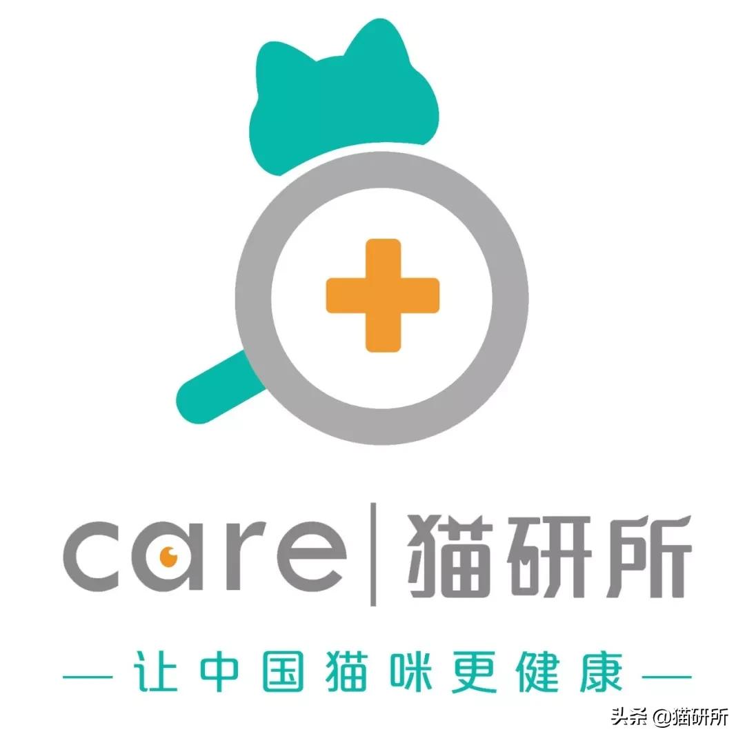 什么精油对猫有危害,猫咪精油有必要用吗