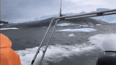 全身发抖的图片,全身发抖的照片