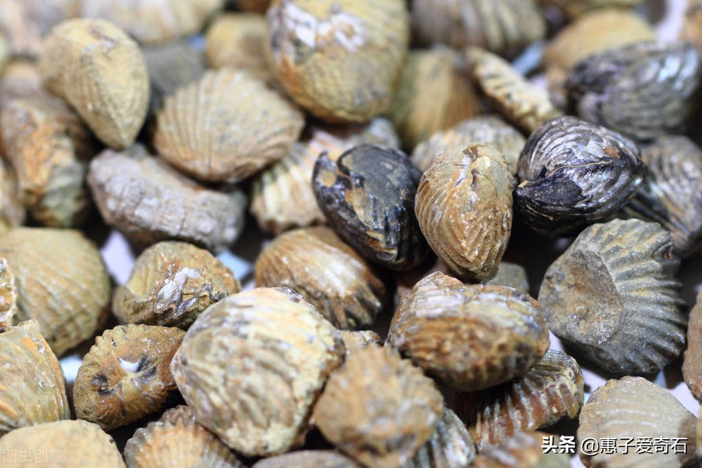 台湾顶级珍稀奇石,顶级玉石奇石