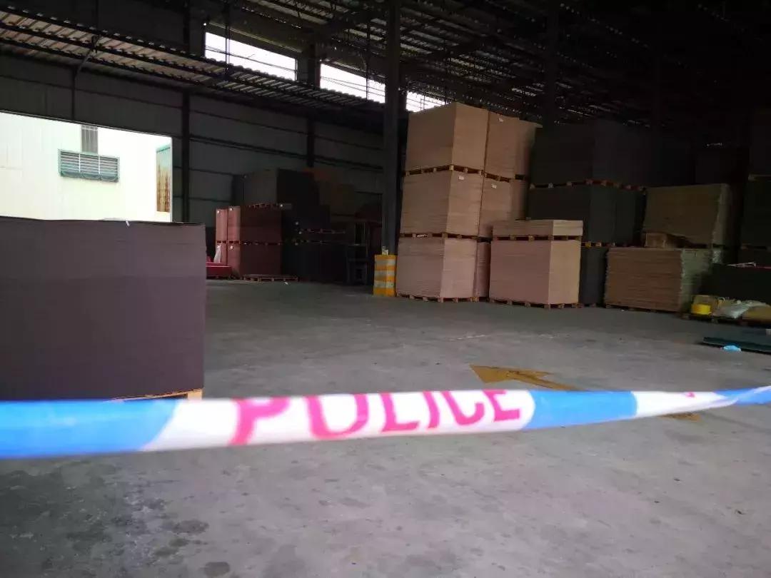 在年岁即将交替的时光里「这一年大岭山都发生了什么大事」