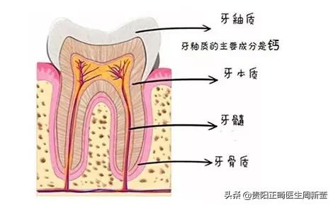牙釉质不同程度缺损及相应的处理方法,你必须要注意