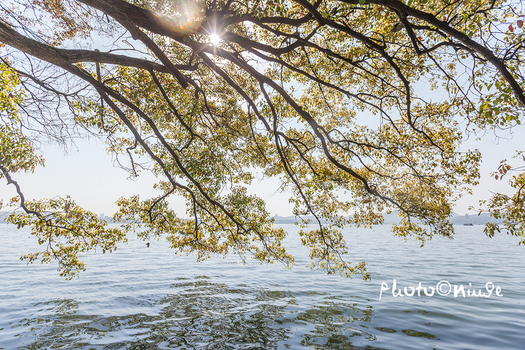 杭州西湖旅游攻略景点介绍,杭州西湖旅游两日游攻略