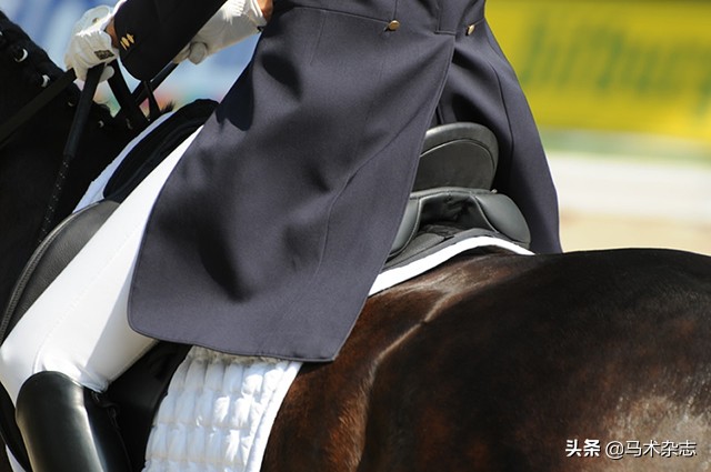 马不听自己话怎么办,为什么马不听话