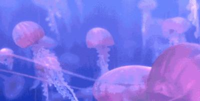 甯曞姵姘存瘝婀栫殑姘存瘝鍙互鎽稿悧,甯曞姵姘存瘝杩樿兘鎶撳悧