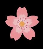 好看的樱花能吃吗,樱花有多好看零食就有多难吃